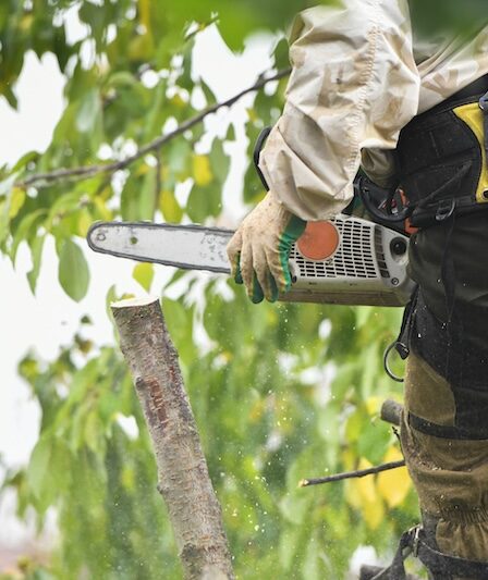 Arborist som använder motorsäg